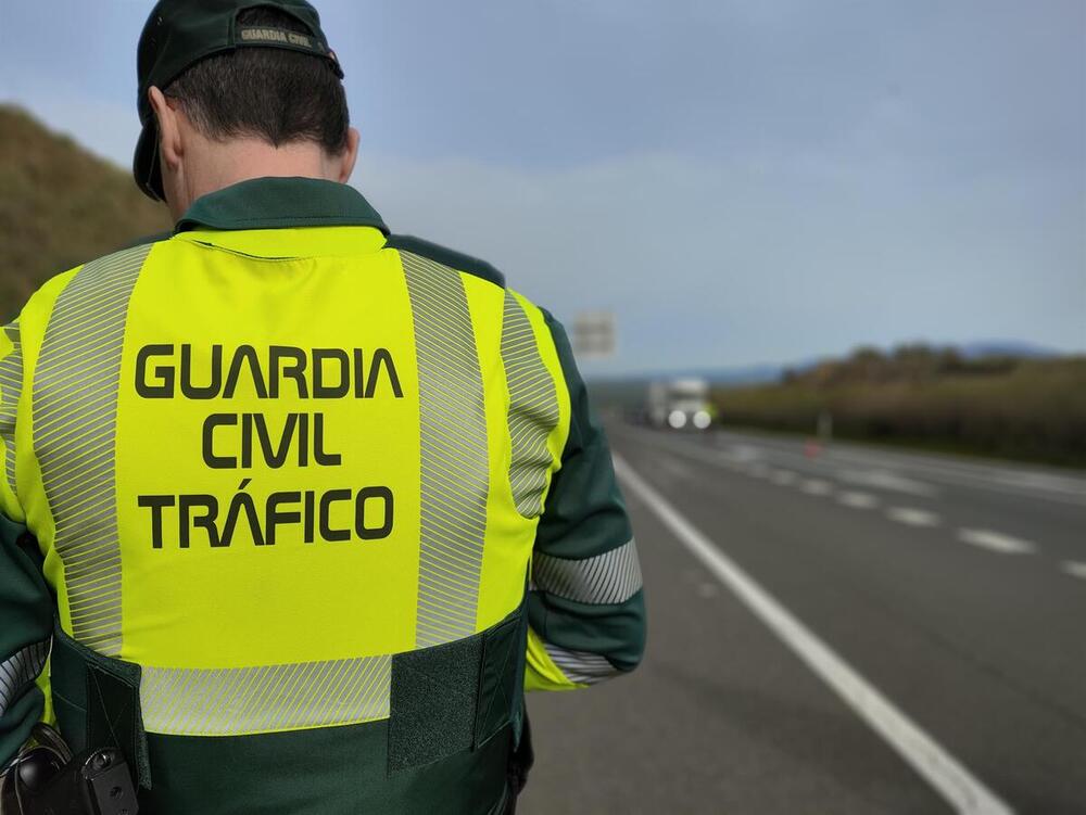 Detenido por agredir a un guardia civil de Tráfico en Cabezón