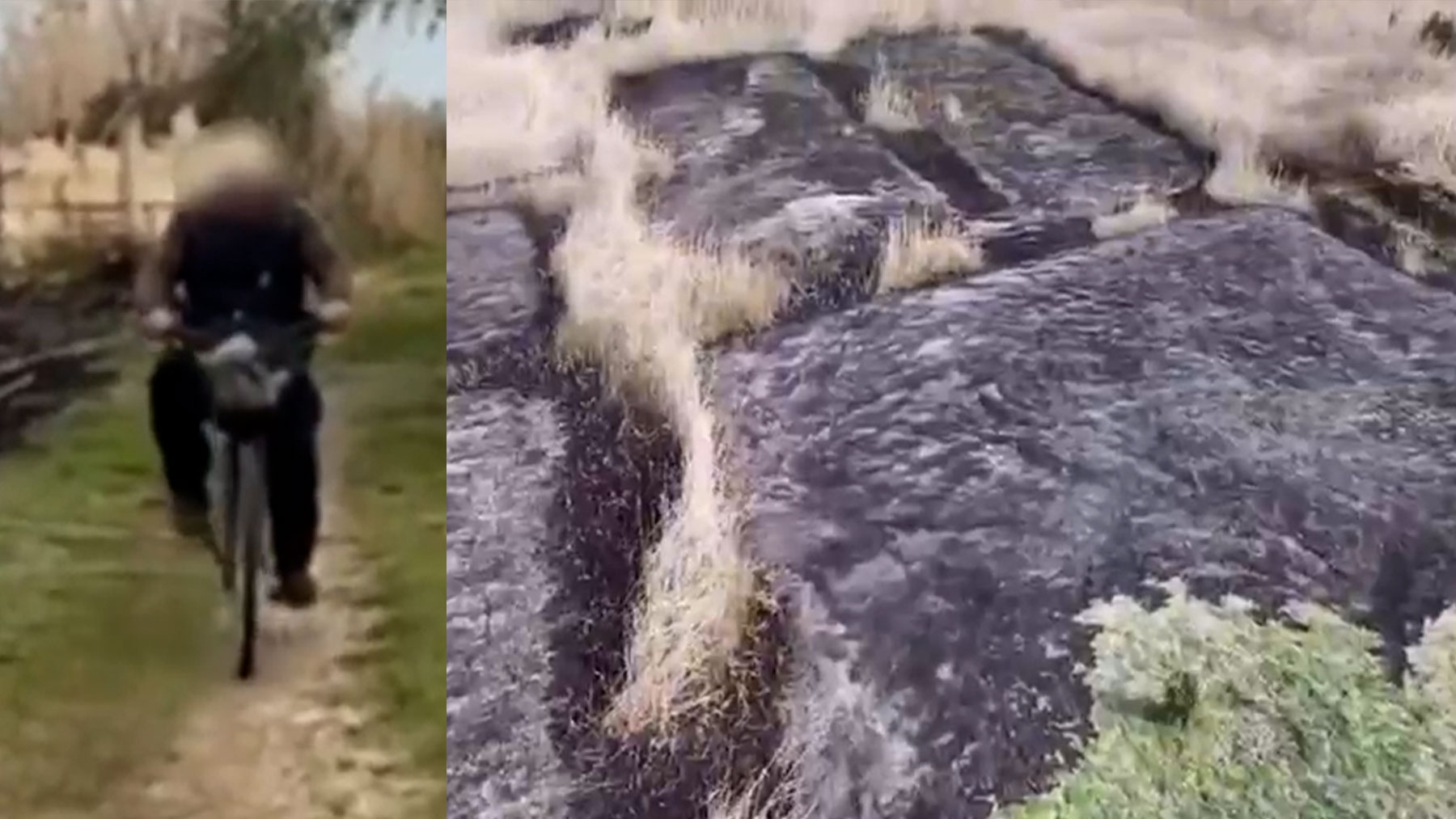 Detienen a un pirómano de 72 años por múltiples incendios en el Parque Natural de s’Albufera de Mallorca