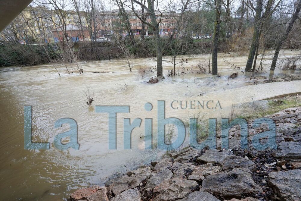 El Ayuntamiento insta otra vez al desalojo del paraje del Royo