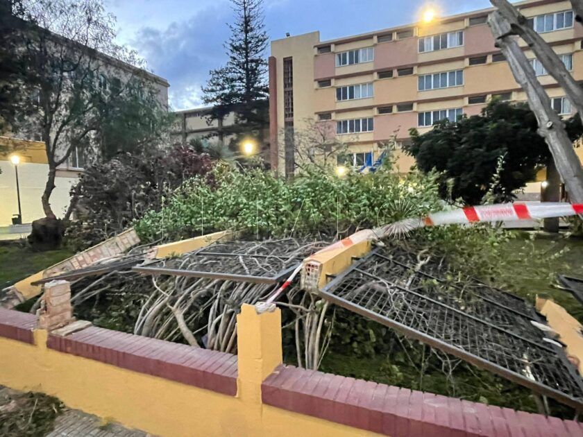 Los bomberos realizan 15 intervenciones desde las 08:00 por el viento