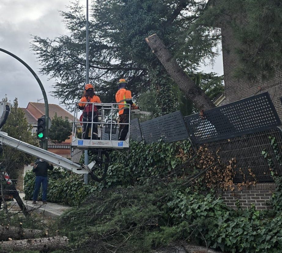 El temporal deja 67 árboles dañados en Rivas