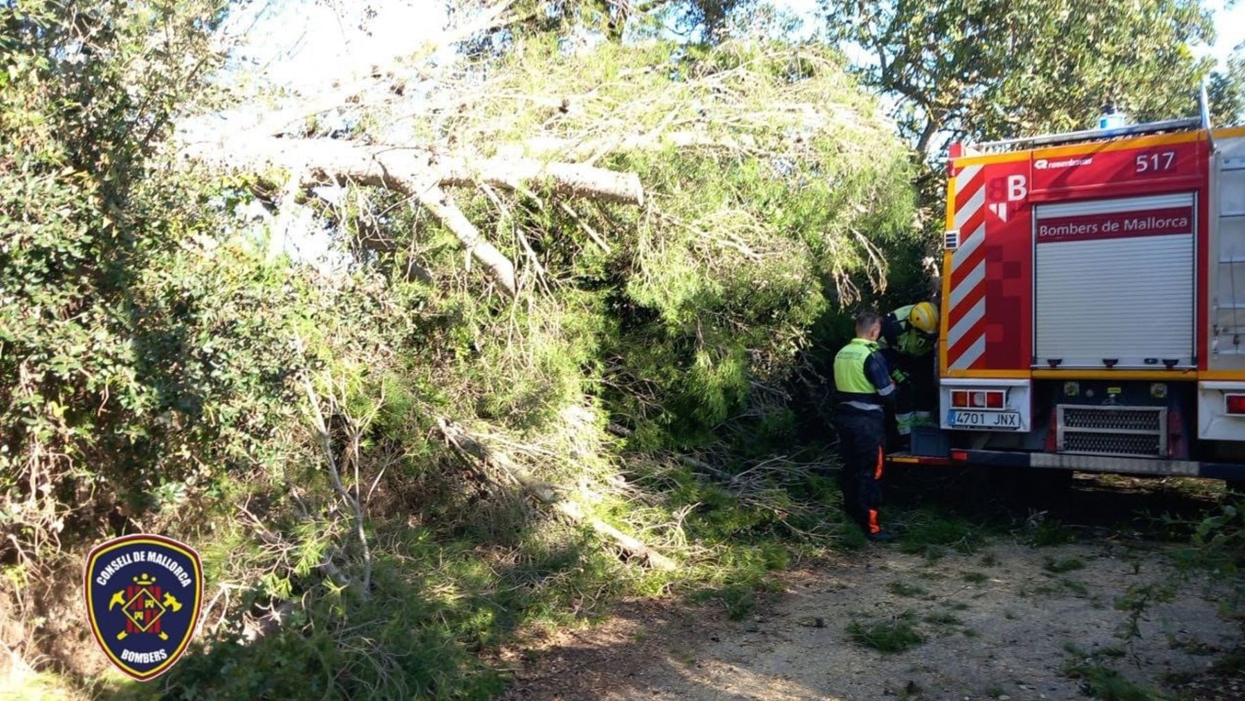 Baleares cierra el episodio de fuertes vientos con 267 incidentes y rachas de 154 kilómetros por hora