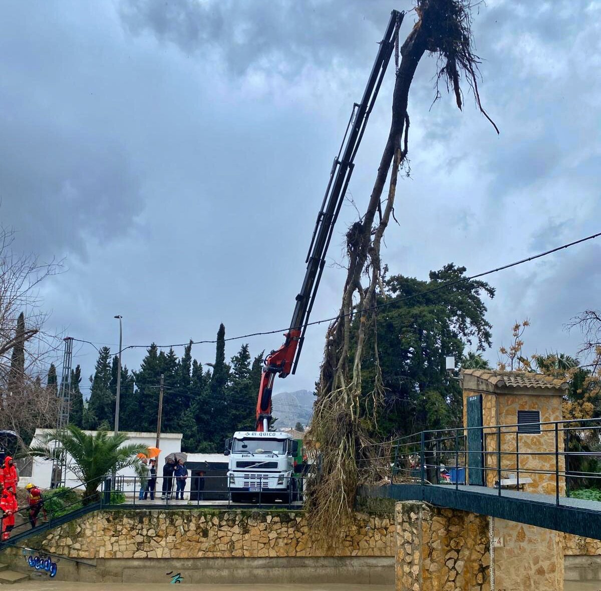 Bomberos de Jaén retiran un árbol enorme a la altura del Puente Jontoya