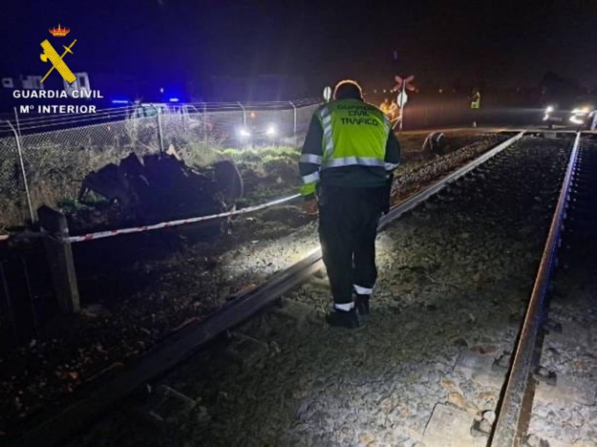 La Guardia Civil investiga el fallecimiento del varón arrollado este jueves por un Alvia en Talavera