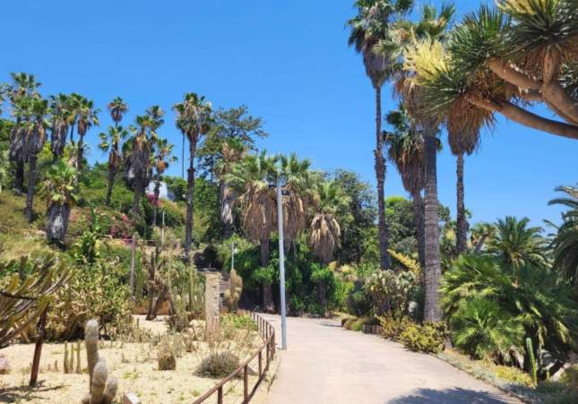 Jardins de Mossèn Costa i Llobera