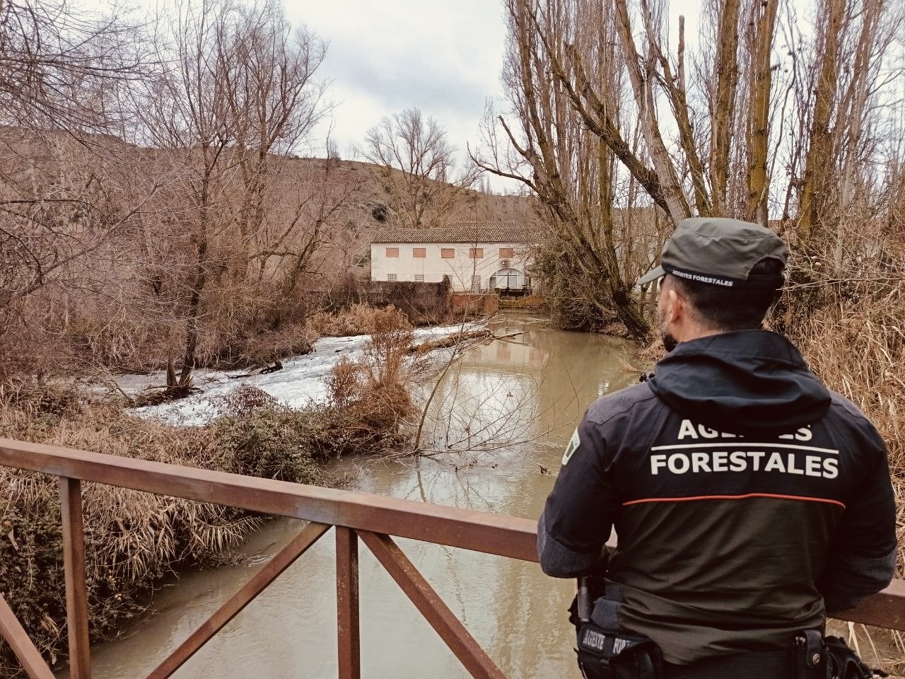La borrasca 'Marta' mantiene en vilo a Madrid por el riesgo en el Jarama, Alberche y Henares
