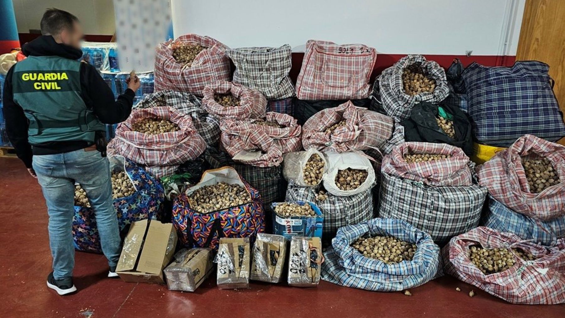 Detenidos tres hombres por robar y enviar cápsulas secas de amapola adormidera a Málaga, Ávila y Mallorca