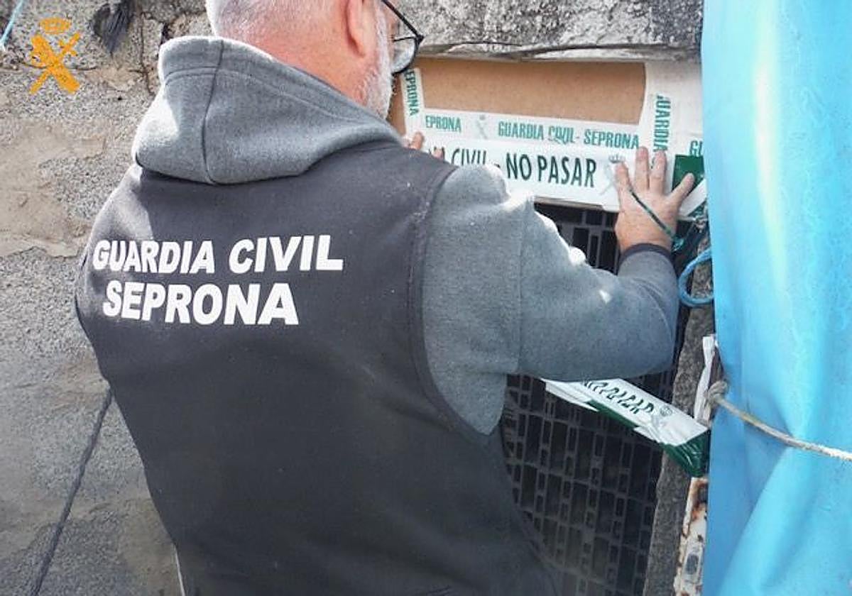 La Guardia Civil desarticula un laboratorio clandestino de productos químicos en Las Palmas de Gran Canaria