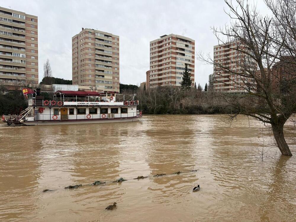 Un tronco amenaza a La Leyenda del Pisuerga