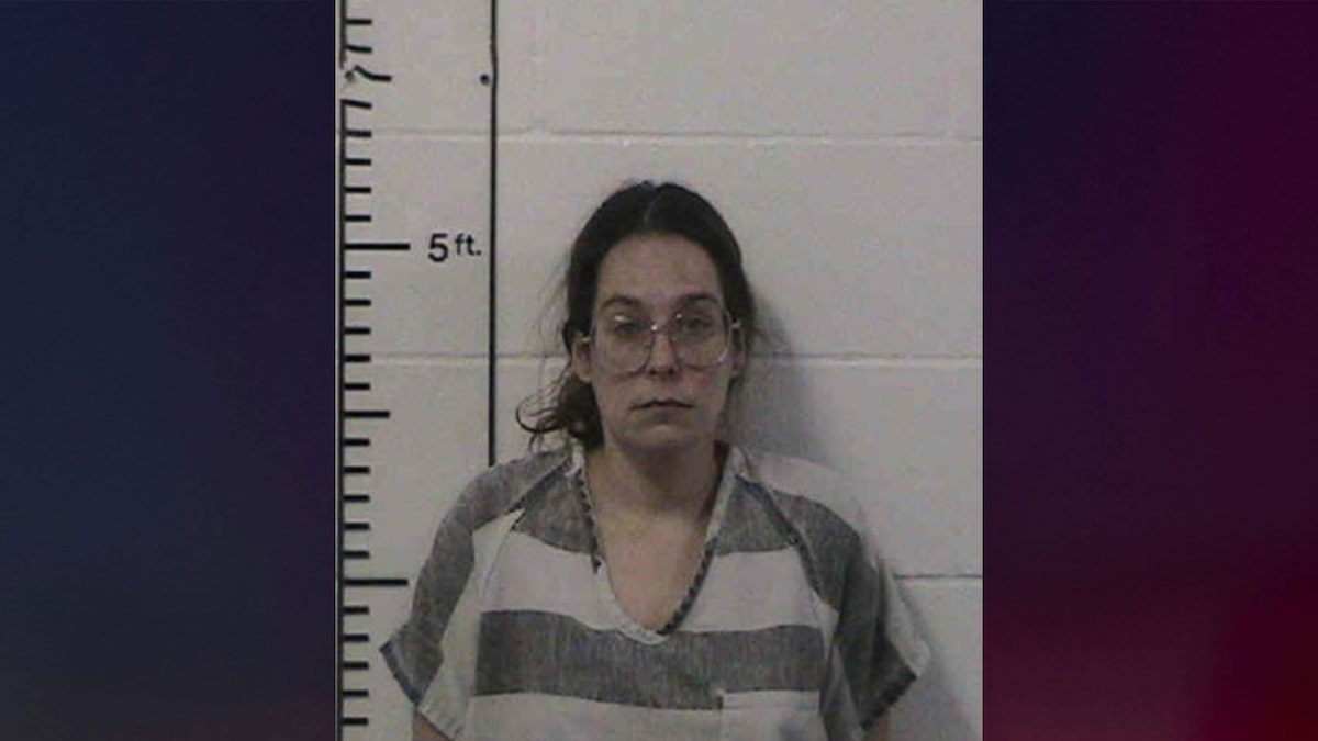 Woman faces stabbing charges months after allegedly attempting to sell her baby