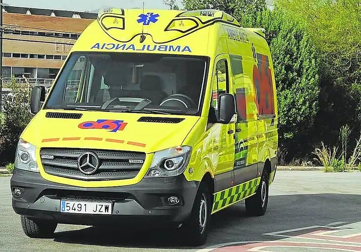 Evacuado un trabajador tras caer a una altura de tres metros en el Palacio de Ferias de Málaga