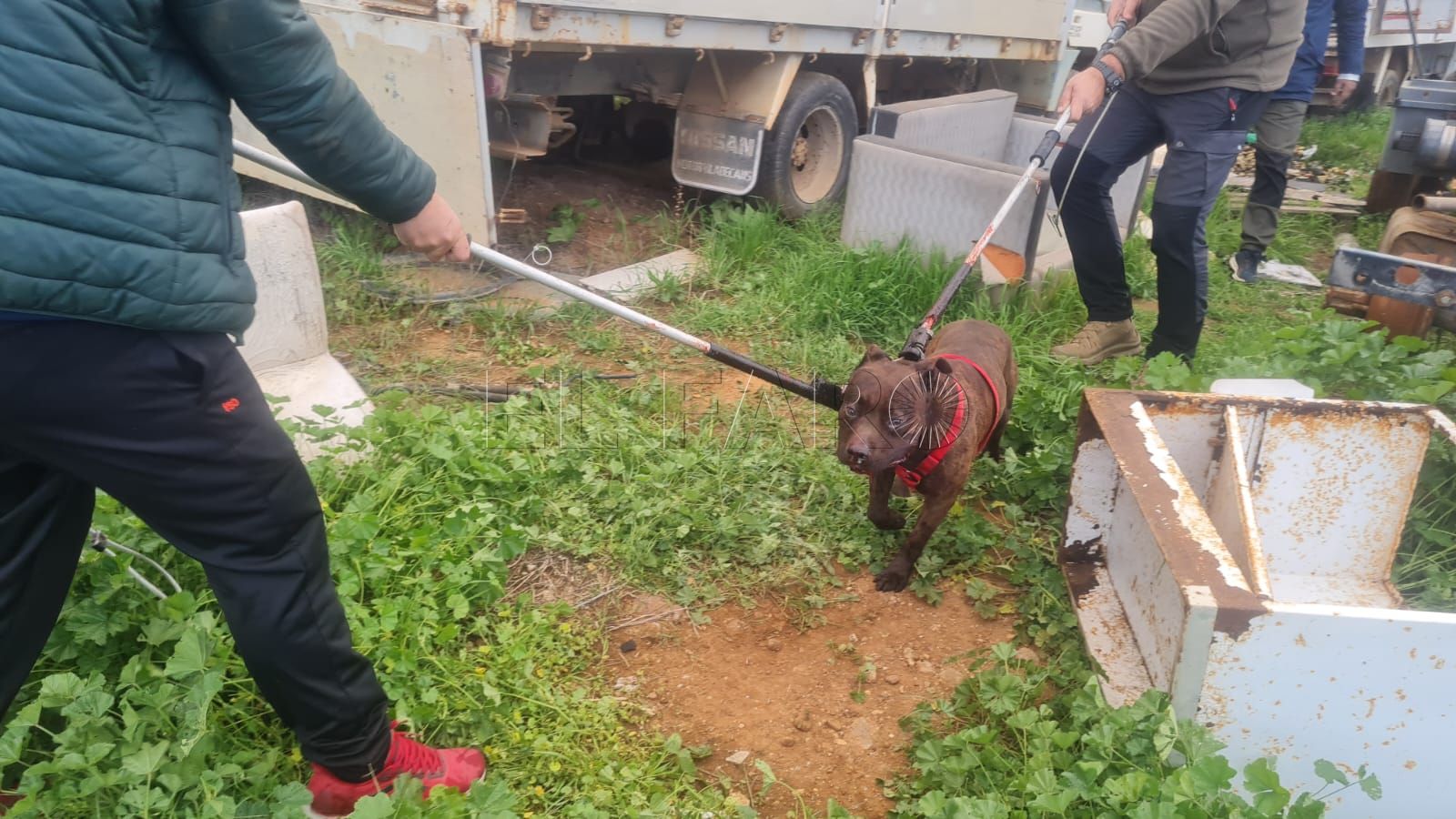 La Policía Local rescata a un perro encerrado en una furgoneta abandonada en Melilla
