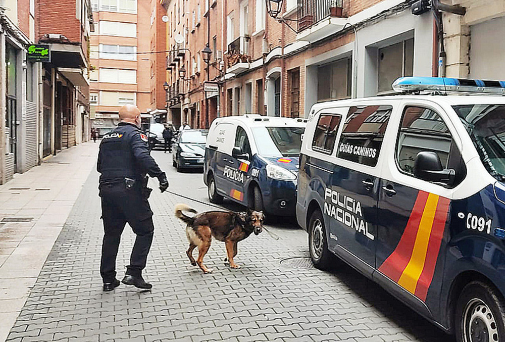Desarticulada una presunta red de tráfico de drogas con 14 detenidos en Palencia