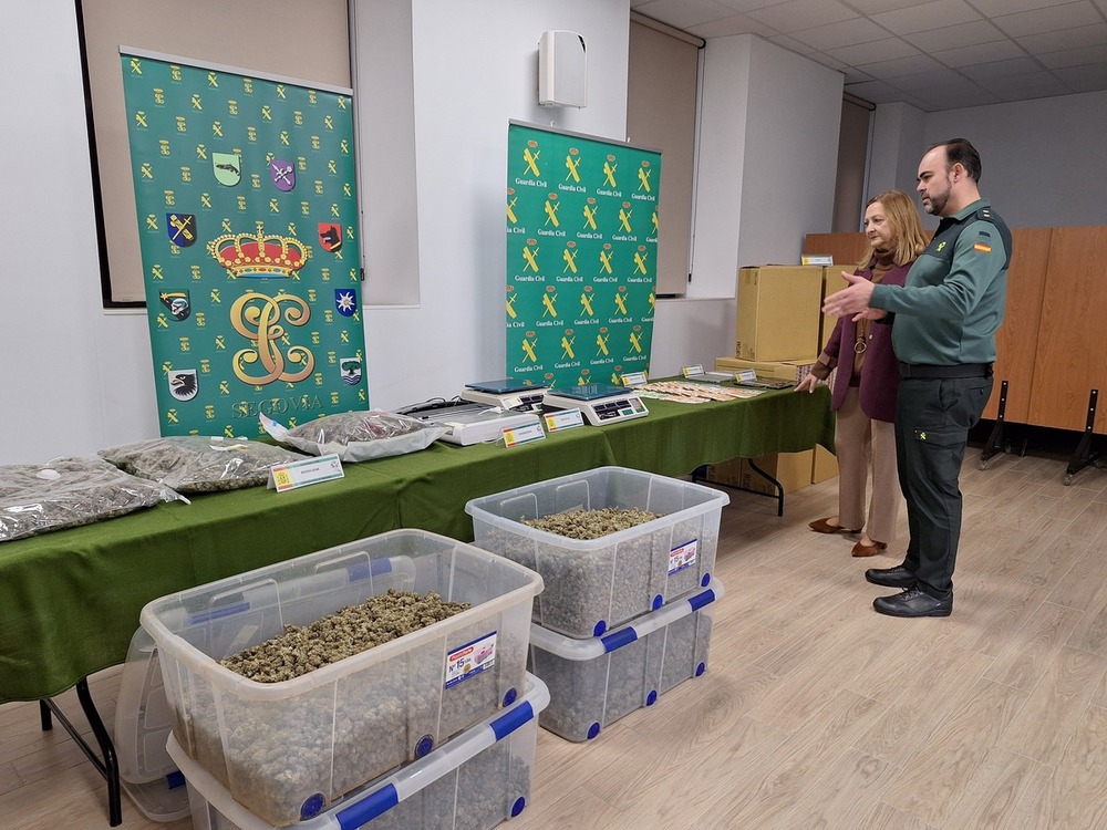 Seis detenidos y más de 10.000 plantas de marihuana incautadas