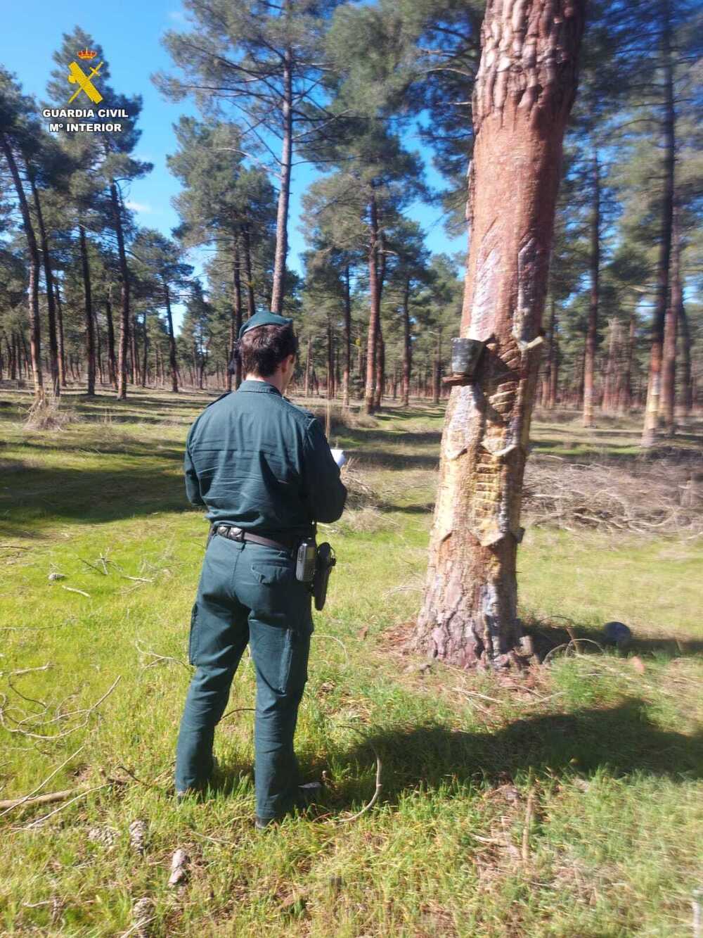 La Guardia Civil denuncia tres casos de explotación laboral