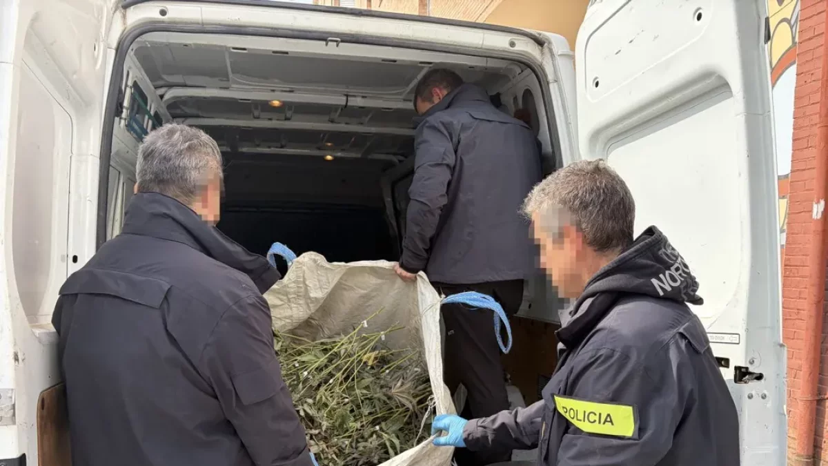 Los Mossos decomisan 305 plantas de ‘maría’ en un piso de Pardinyes
