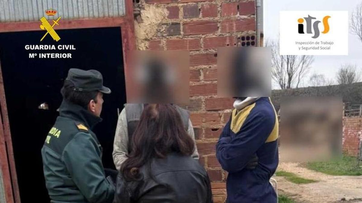 Detenido el dueño de una ganadería en León por irregularidades laborales