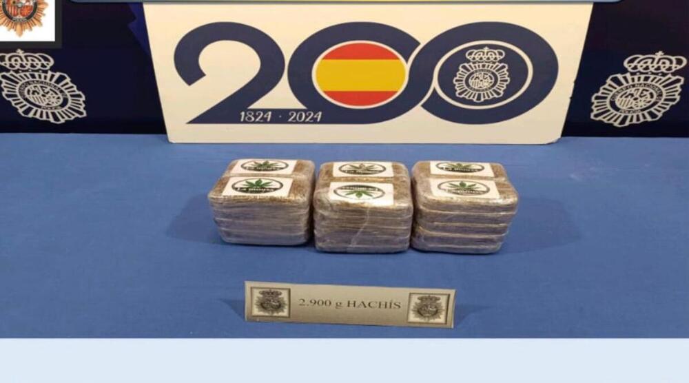 Detenido en Huerta del Rey con 2,9 kilos de hachís