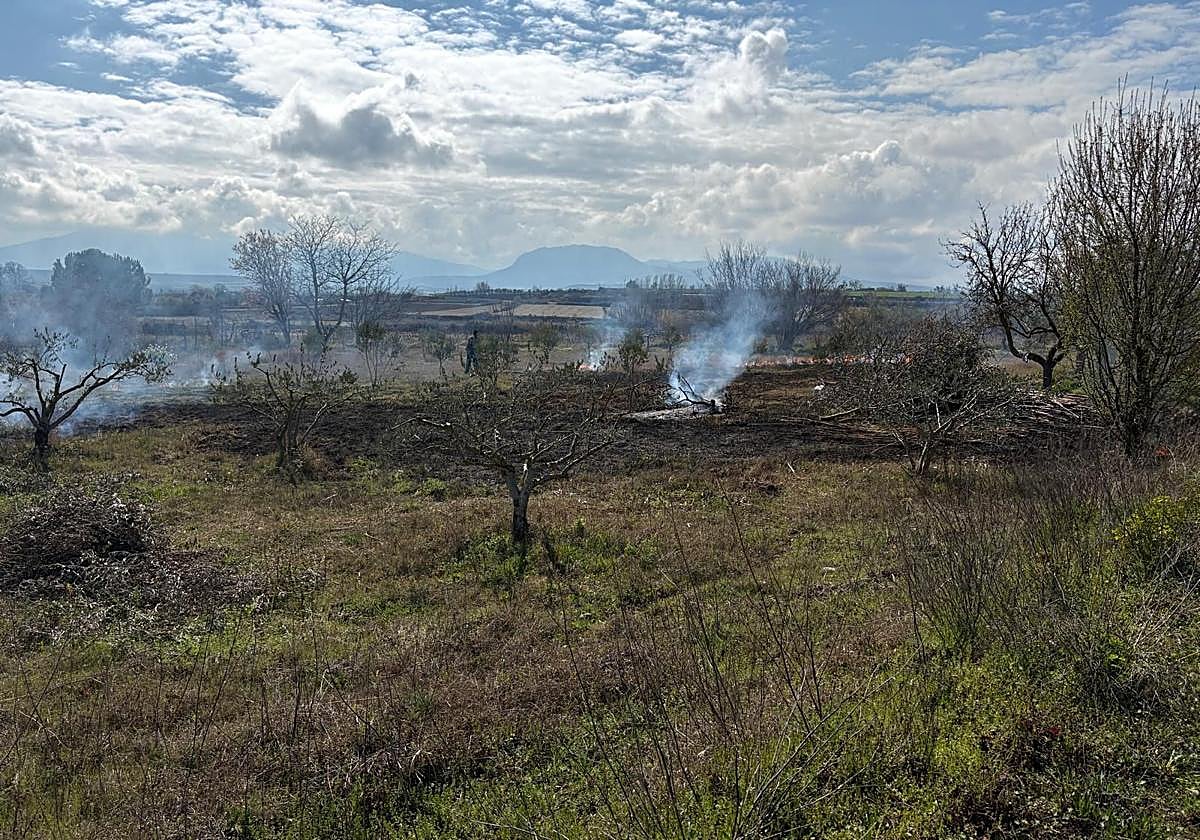 Incendio provocado en paraje ‘La Solana’ de Villamediana controlado por autoridades