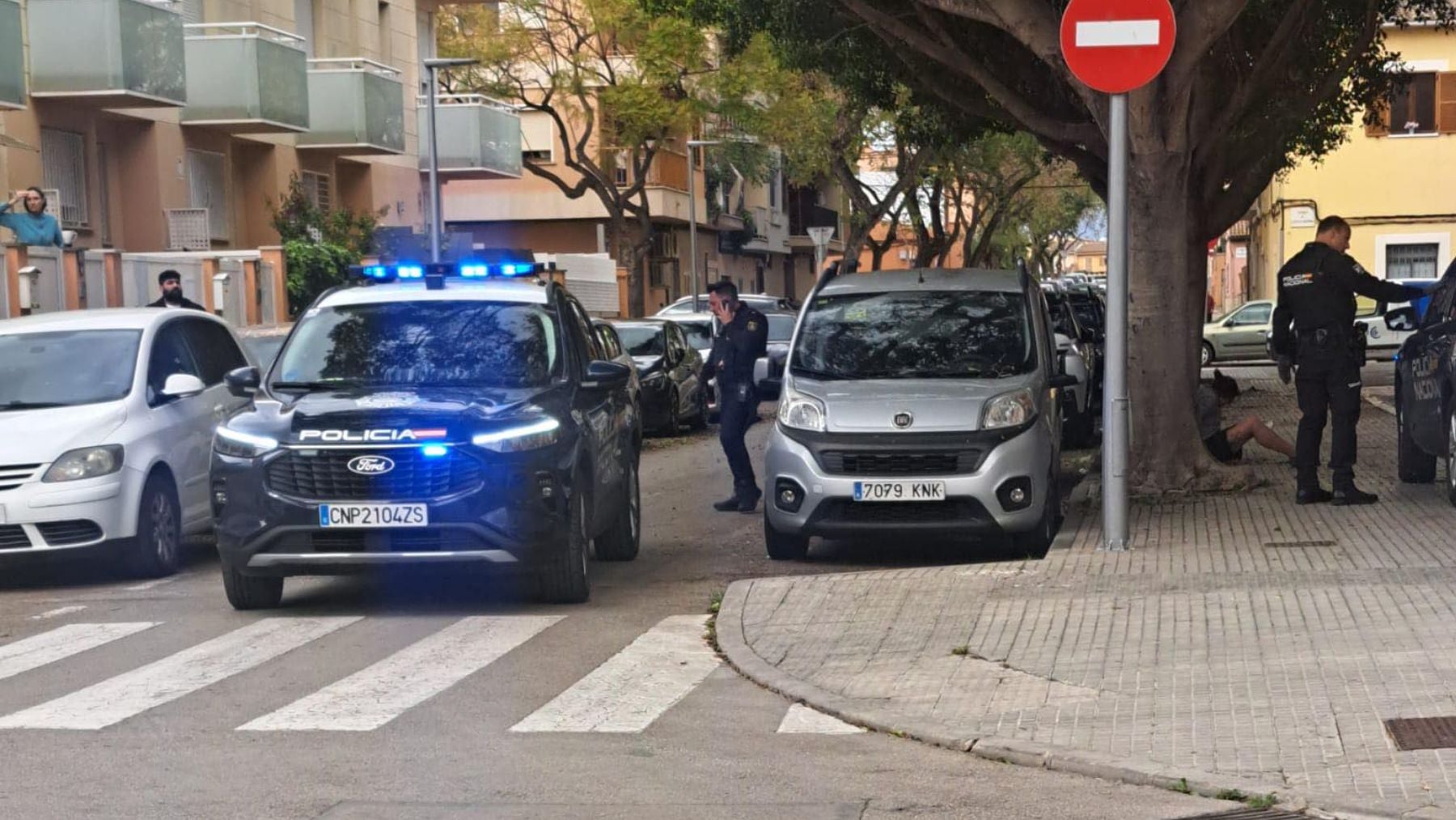 Dos ingleses detenidos por intentar secuestrar a una mujer de 80 años en Son Ferriol