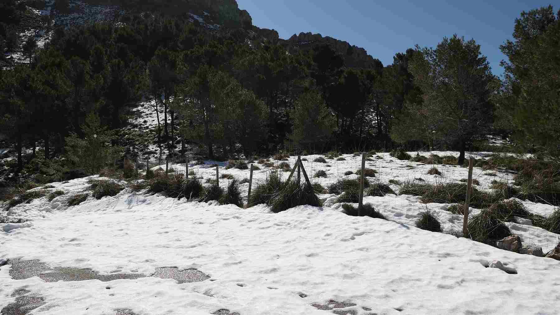 La AEMET avisa de un fin de semana 100% invernal en Baleares: nieve, lluvias, viento y heladas