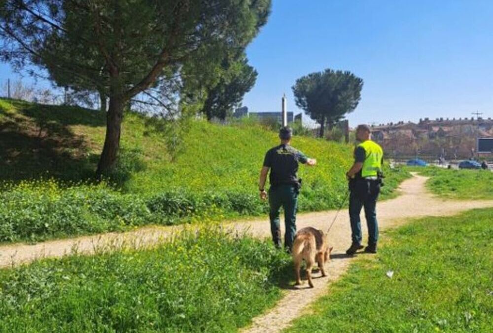 Drones y perros para buscar a la mujer desaparecida en Arroyo