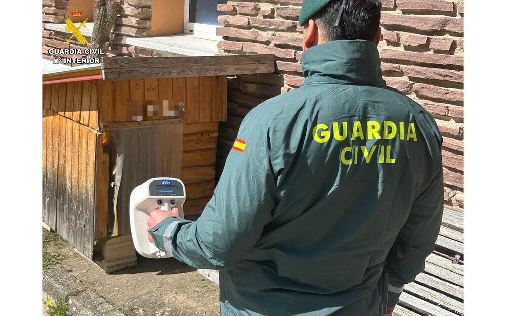 Investigado por sacrificar a su perro