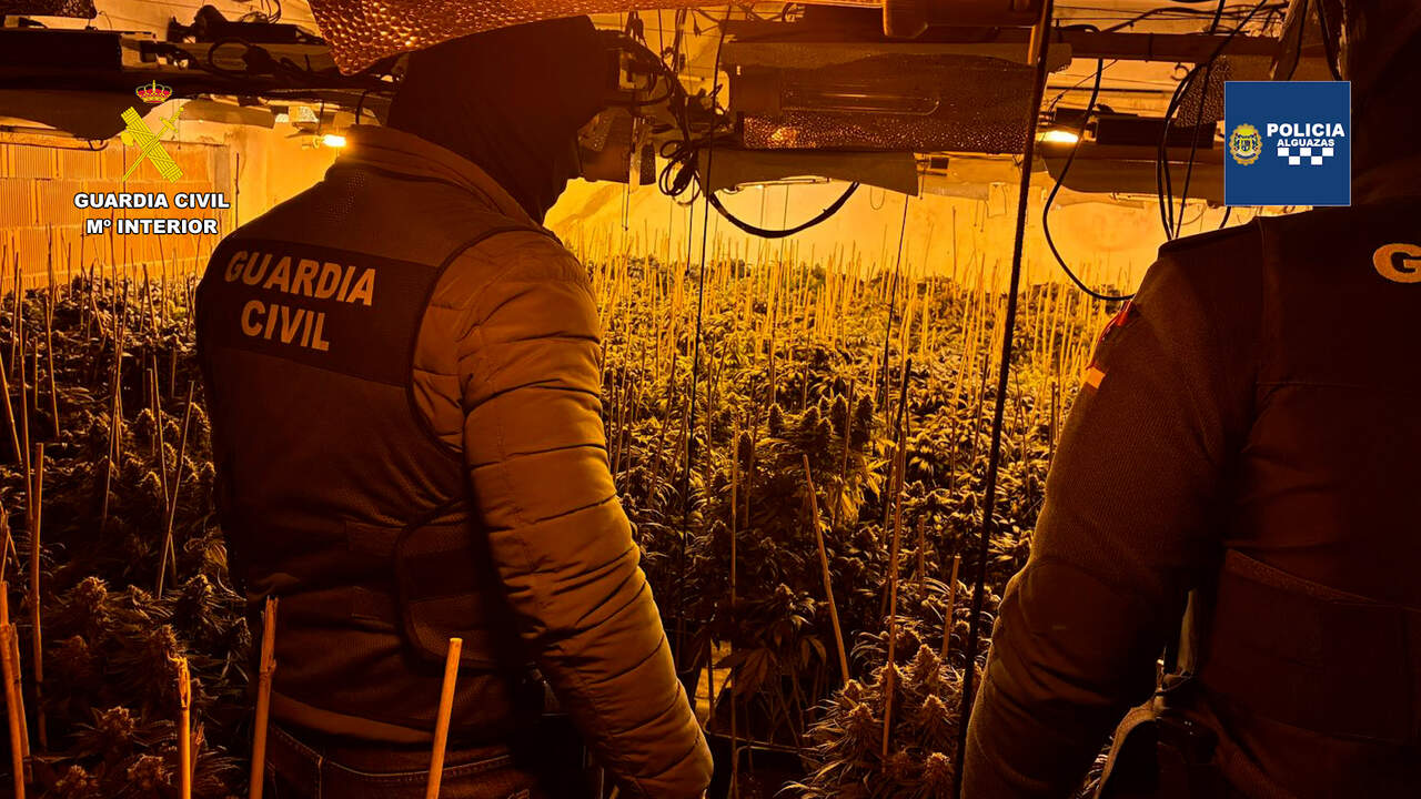 Desmantelada en Alguazas una vivienda utilizada como invernadero de marihuana