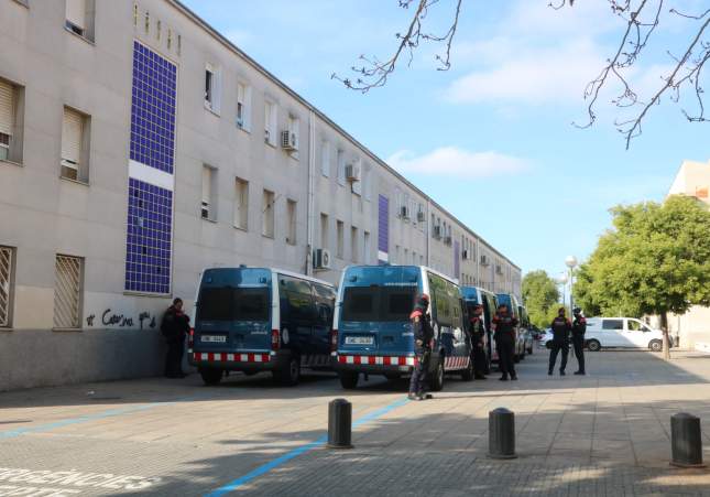Despliegue policial en Sant Cosme: detenido, armas decomisadas y ring ilegal de gallos de pelea
