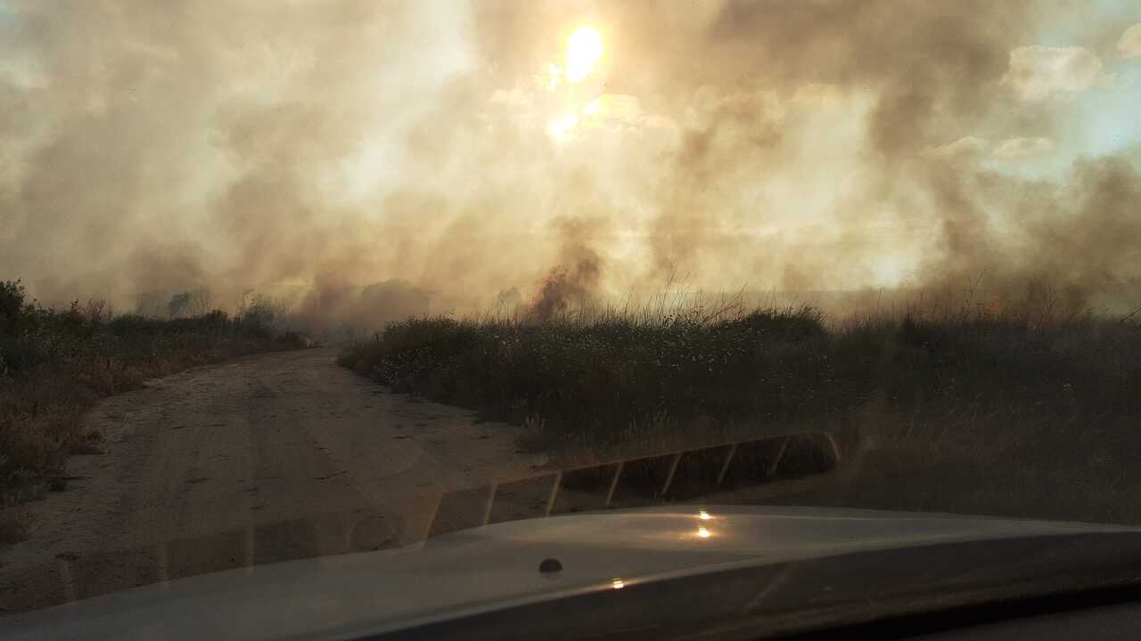 Estabilizado el incendio forestal junto al polígono Los Bermejales, en Niebla