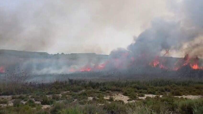 Un incendio de cañas y matorral calcina 8.000 metros cuadrados en Villanueva del Segura