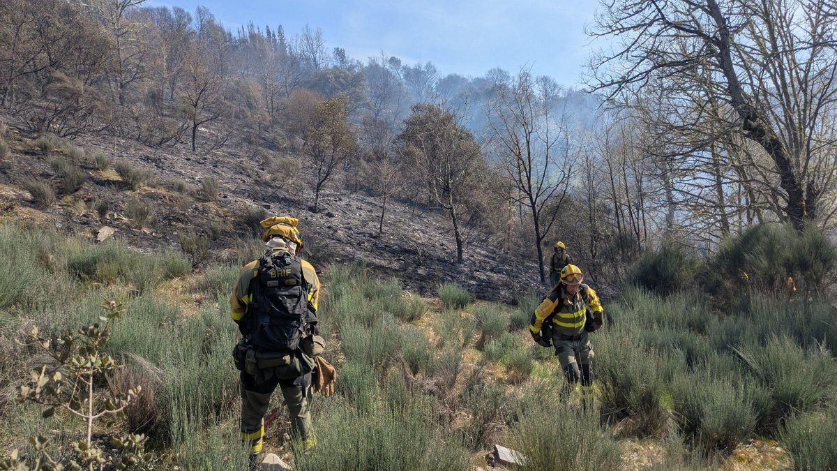 Bomberos forestales sofocando un incendio en San Martín de Moreda.