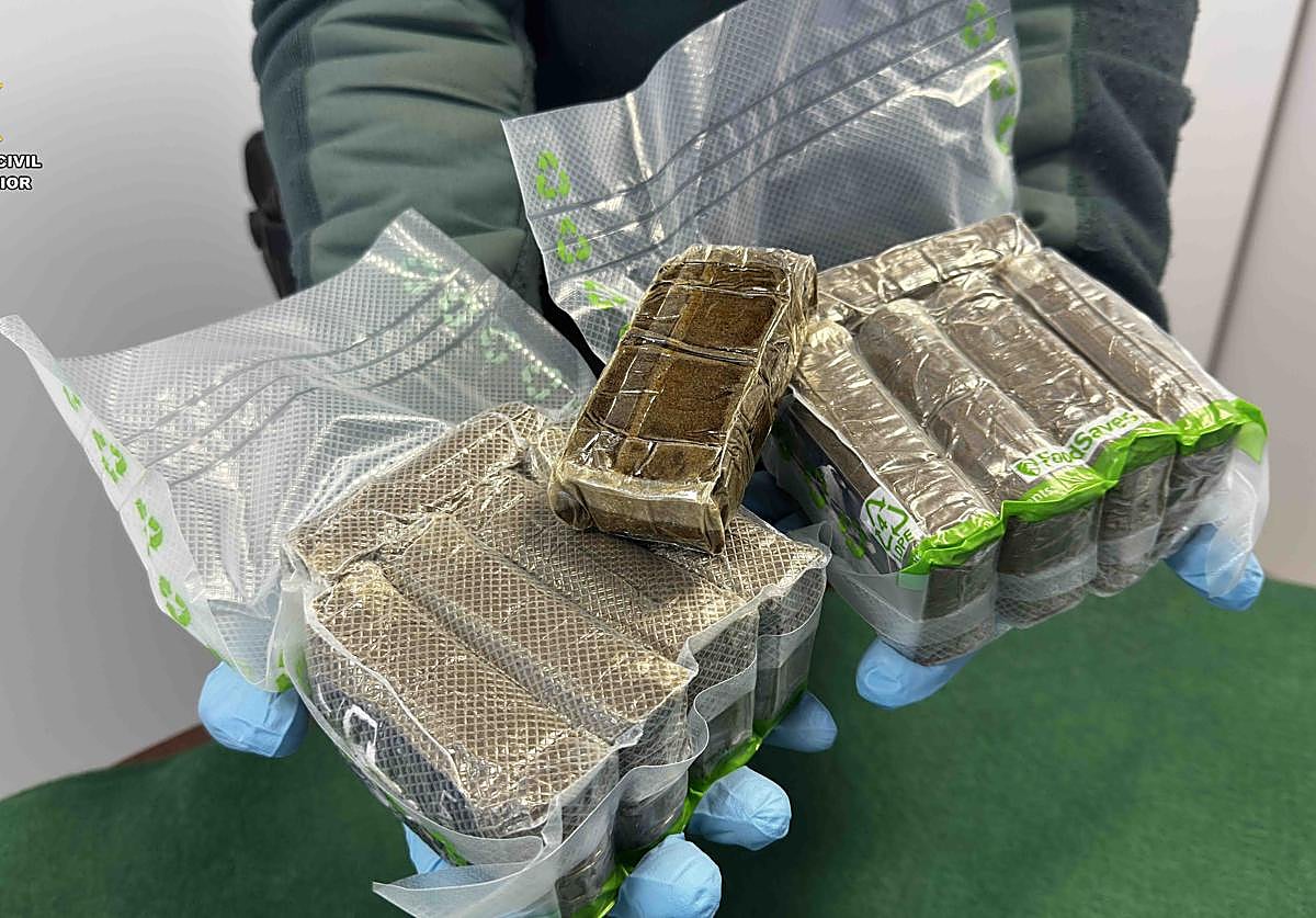 La Guardia Civil incauta más de 100.000 euros en drogas gracias al perro Coca