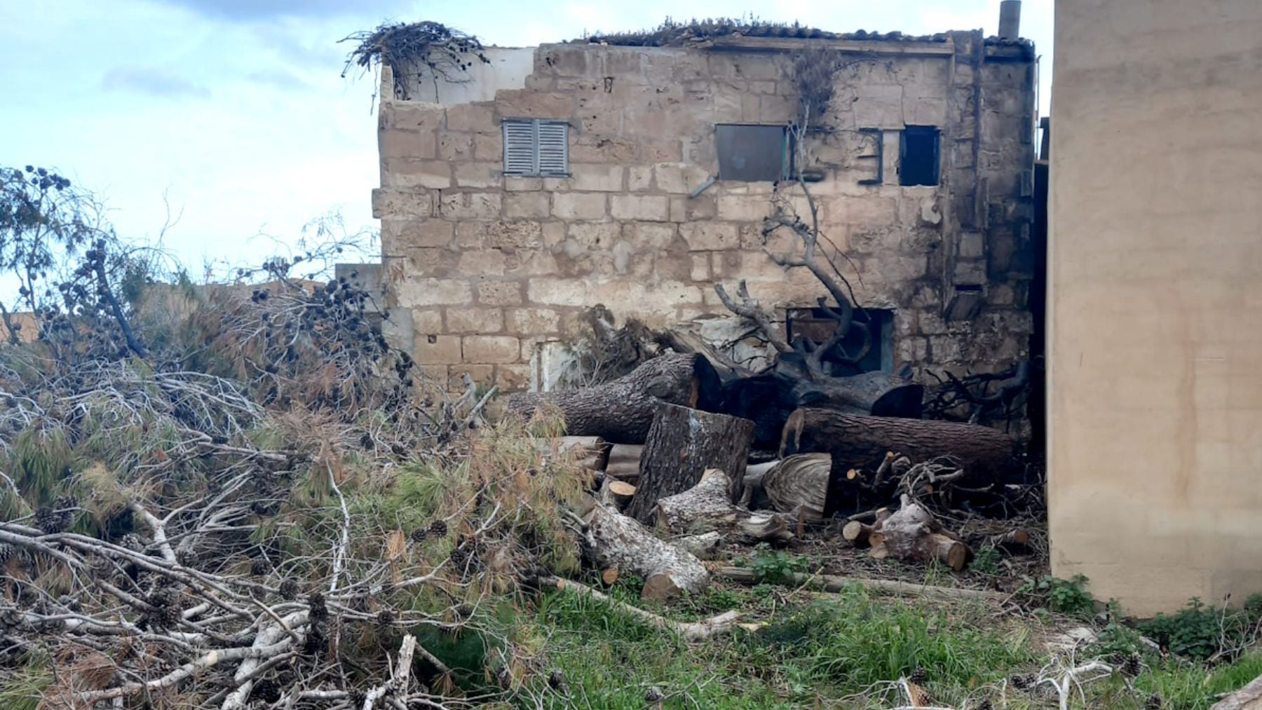 La Policía Local de Palma sanciona a propietarios del solar donde se originó incendio en s’Arenal
