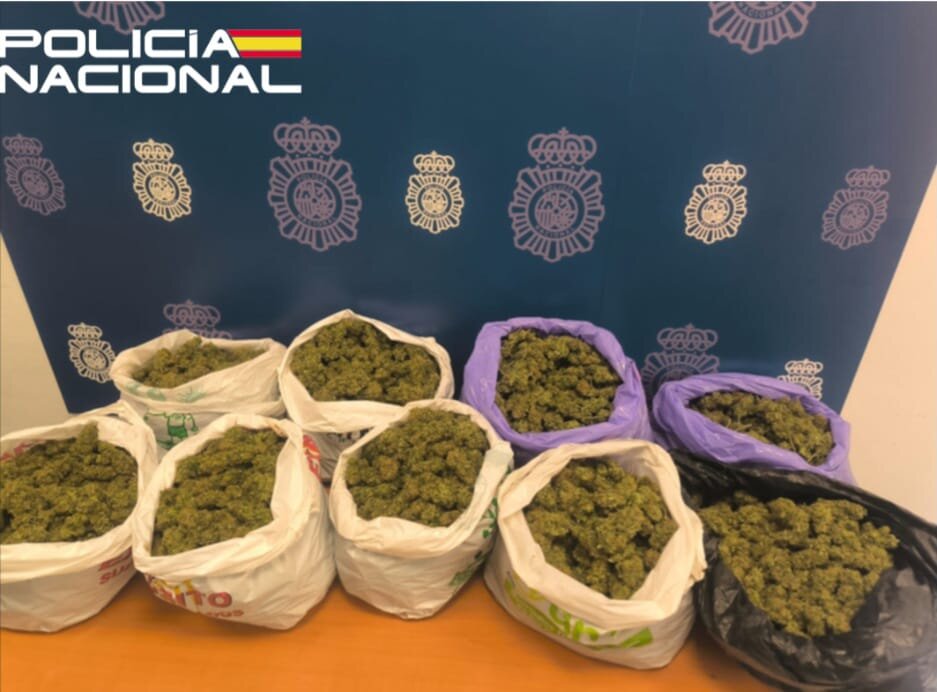 Desmantelado en Jaén un centro de producción de marihuana con más de nueve kilos incautados