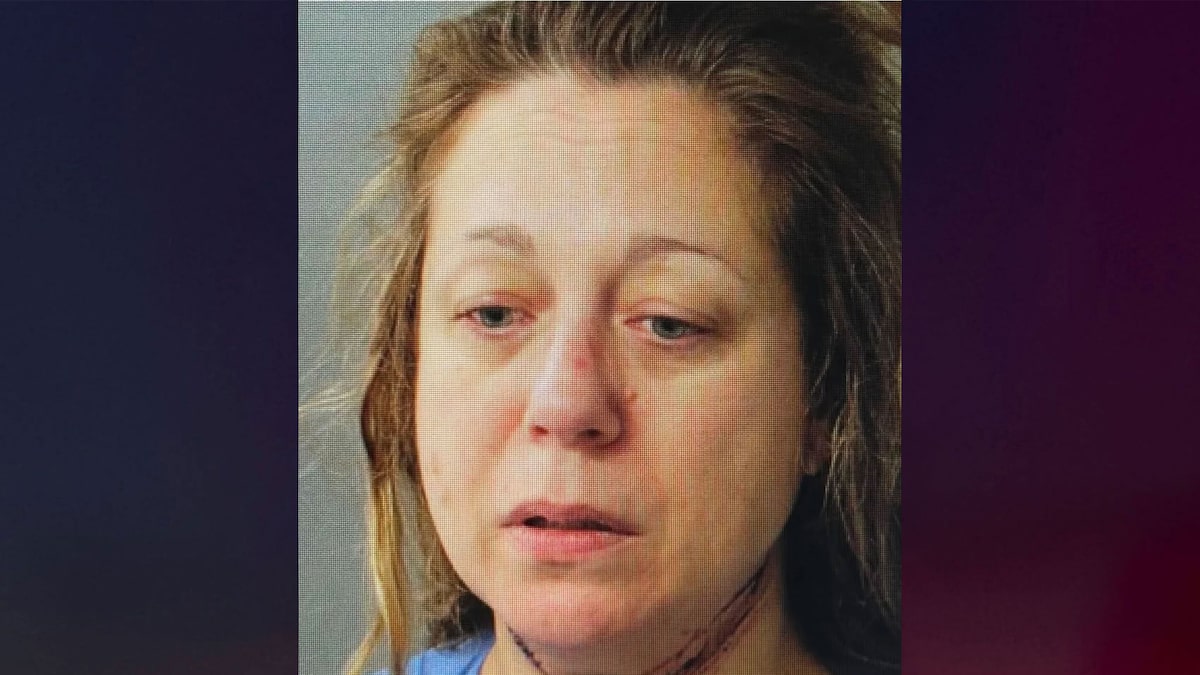 Massachusetts mom allegedly killed her 2 children amid custody battle