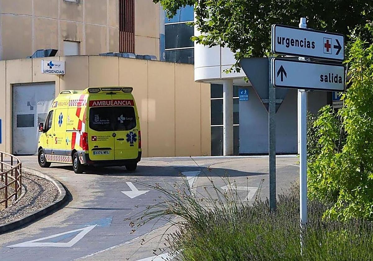 Mujer de 65 años resulta herida tras ser atropellada en Miranda