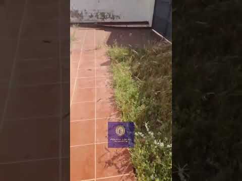 Recuperada una vivienda ocupada ilegalmente en Matalascañas tras aviso ciudadano