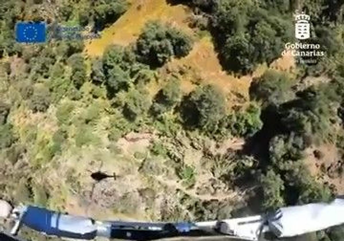 Rescatan a una mujer que se cayó en el barranco de Los Cernícalos mientras hacía senderismo