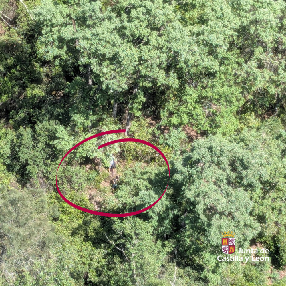 Herido un parapentista al aterrizar sobre un árbol en Arenas