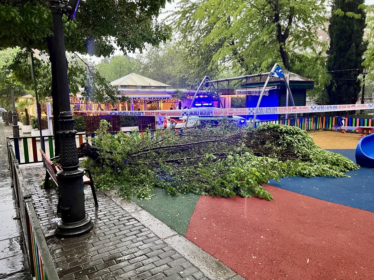 Puertollano: La fuerte tormenta provoca la caída de grandes ramas en el parque infantil del Paseo