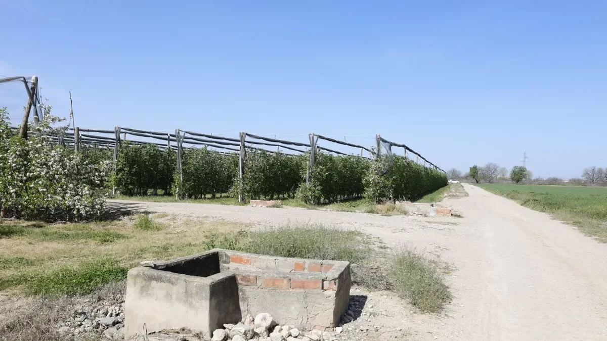 Trabajador fallece tras caer a una acequia de riego en Vila-sana: investigan las causas del accidente