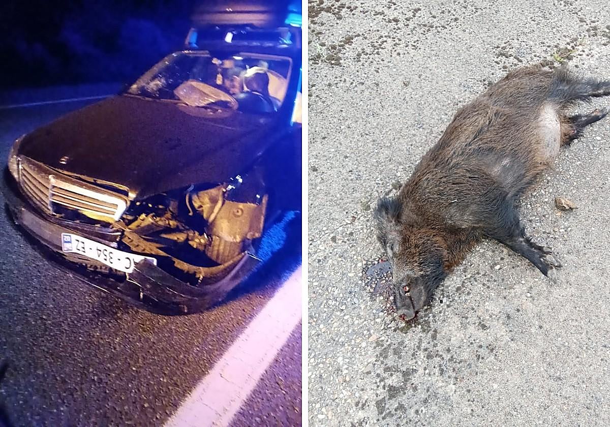 Un accidente con un jabalí que cruzaba la autovía en Salamanca deja destrozado un coche