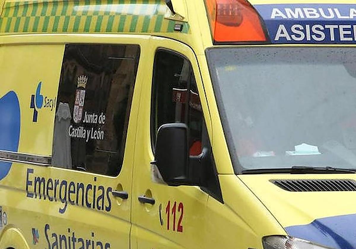 Herida una joven tras chocar contra un animal en plena madrugada en Burgos