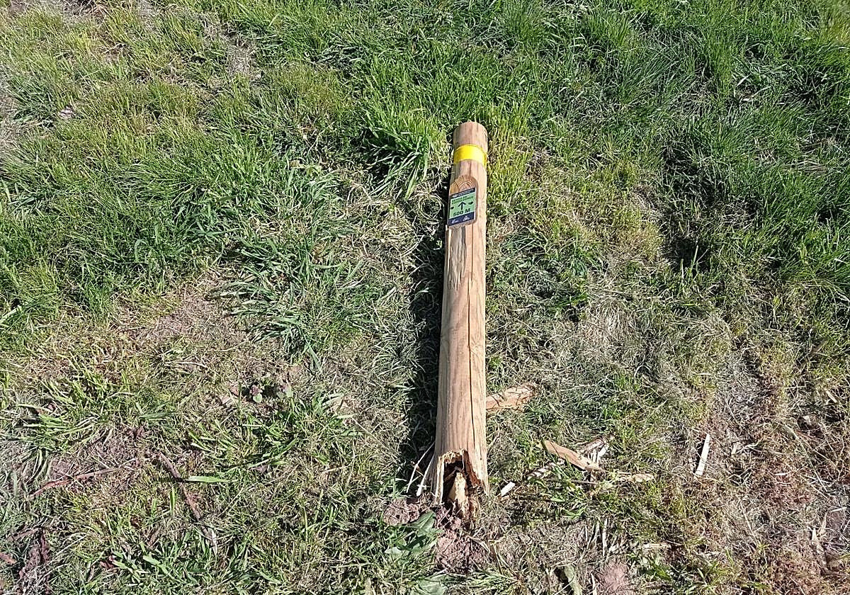 Vandalismo en el Parque El Parral de Burgos: arrancan hito de la senda de corredores por segunda vez en menos de un mes