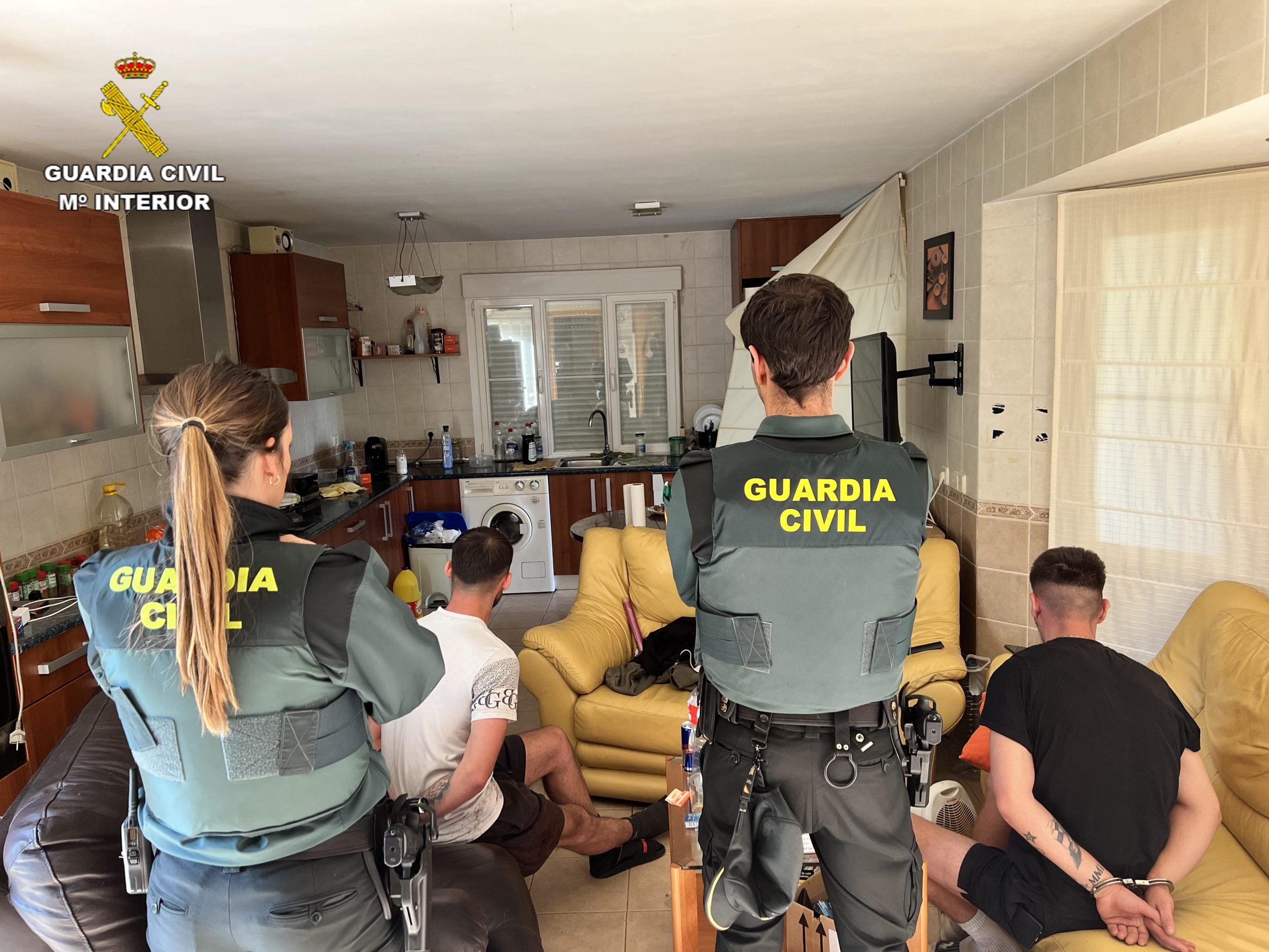 Desarticulada plantación indoor de marihuana en vivienda de Uceda: más de mil plantas intervenidas y dos detenidos.