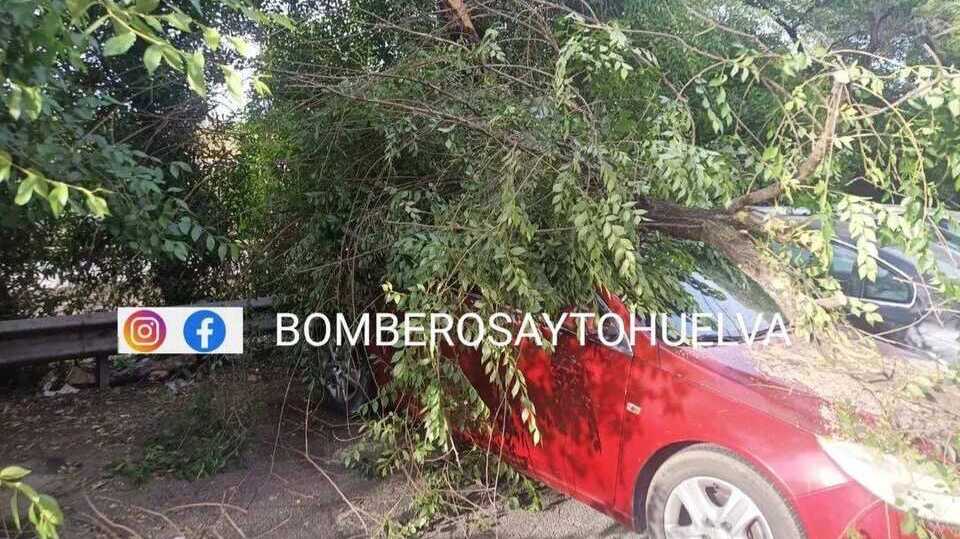 Una rama de grandes dimensiones cae sobre un vehículo en la barriada de La Orden en Huelva, sin heridos.