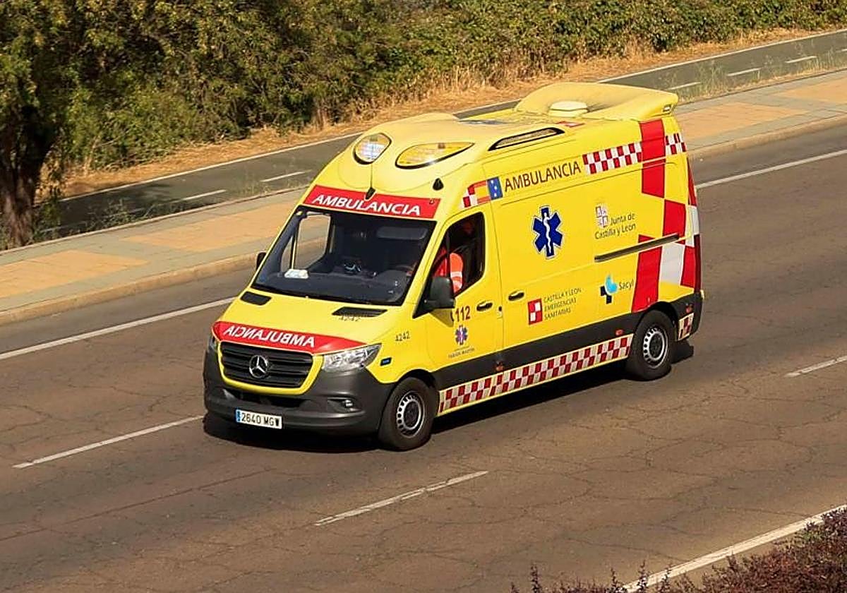 Dos personas heridas tras chocar con un corzo en una carretera de Burgos