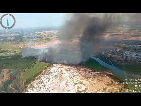 Desplegado importante operativo del Plan INFOCA para controlar incendio forestal en Marismas del Burro Gibraleón.