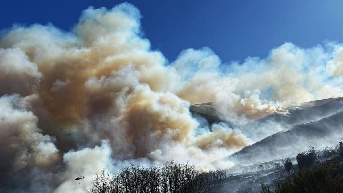 Una imagen del incendio de La Cabrera en la zona de La Lomba (Benuza).